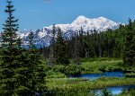 Mount Denali from the rear car of the Denali Explorer